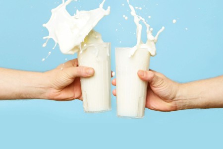 lait sans lactose
